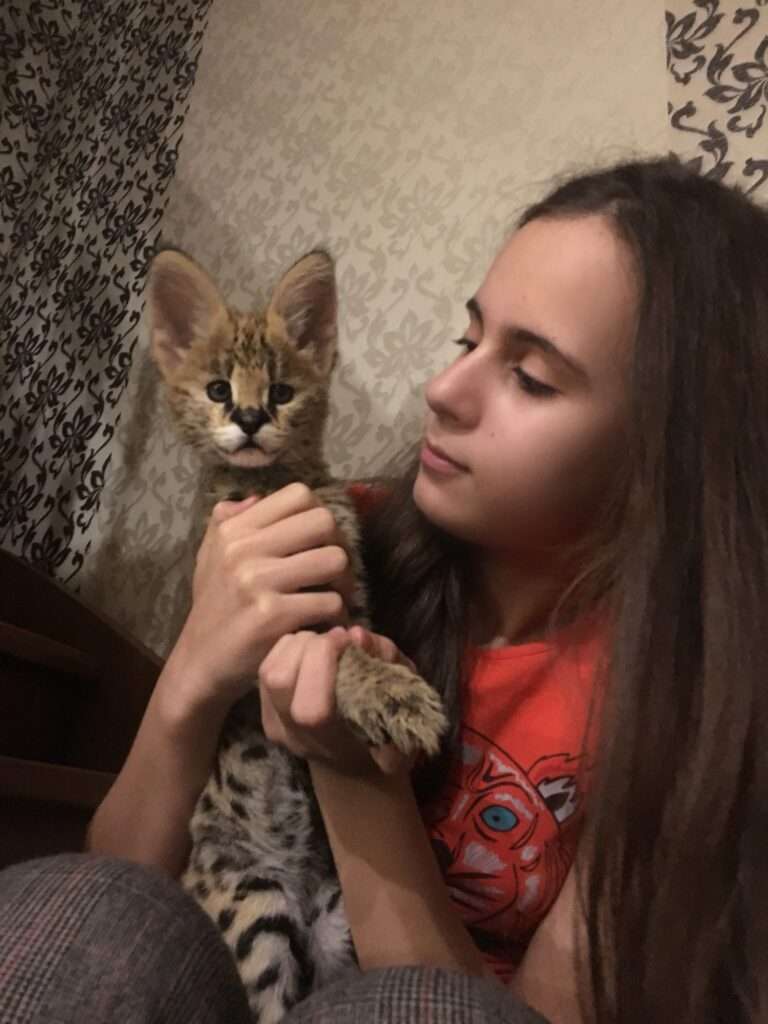 Woman holding kitten